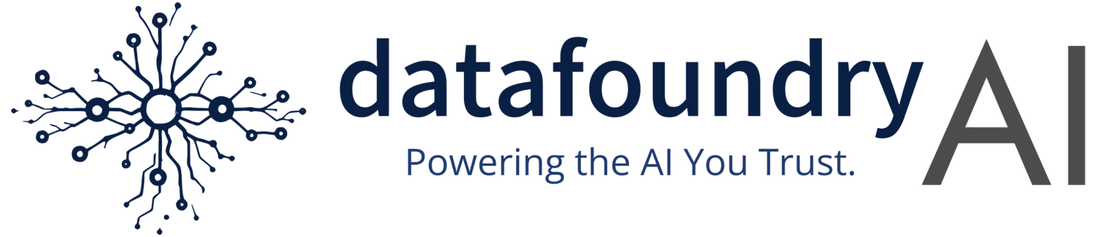 DataFoundry AI